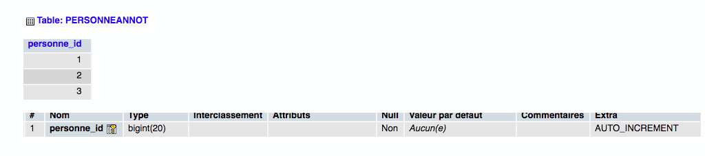 Hibernate/MySQL : la stratégie “IDENTITY”